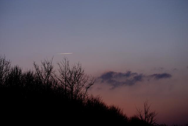 Contrail at Dusk