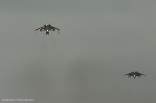Hovering Harriers