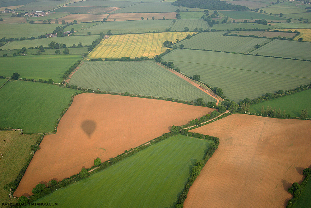 Field Shapes and Shadow