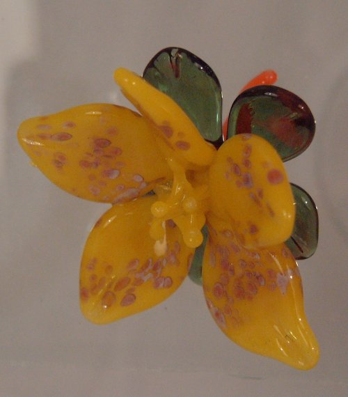 Yellow Spotted Flower